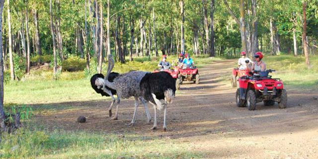 Casela nature park mauritius (2)